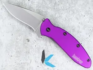 Kershaw Scallion 1620PUR (26151)