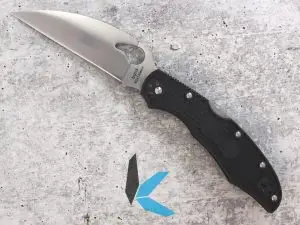 Byrd Cara Cara 2 P Wharncliffe Knife